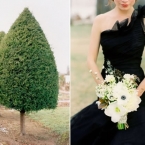 Simply Stunning Black Vera Wang at b. Hughes Bridal