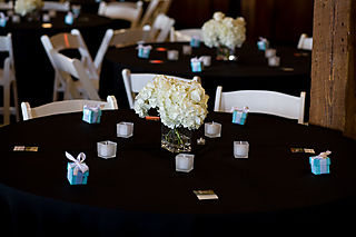 tiffany blue favor boxes