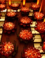 Planners / Coordinators