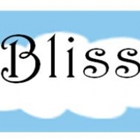 Bliss: Premarital Education Workshop image