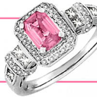 Put A Ring On It Bridal Show image