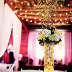 Nashville Event Space- Nashville Wedding Venues