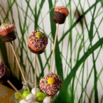 Chef’s Market Candy Stick Decorations with Sprinkles