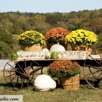 Tennessee Fall Farm Wedding
