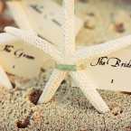Bahamas Destination Wedding Starfish