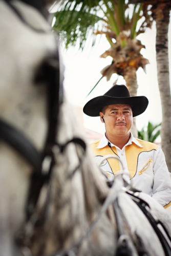 Destination Mexico Wedding Photographer  Horse