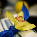 French Country Wedding Ideas