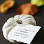Wedding Day by jHenderson Studios Fall Nashville Wedding Mini Pumpkin Favors