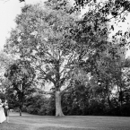 Red and Blue DIY Wedding by Jonathon Campbell Photography Trees