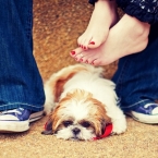 Jonathon Campbell Photography Engagement Photo of Couple with their Dog