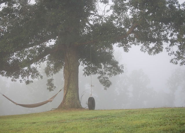 Southern Wedding at FrontPorch Farms Hammock