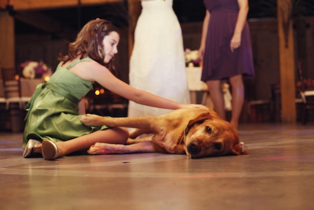 mint springs farm, new wedding venue nashville, favorite wedding venue, glitz bridal gown