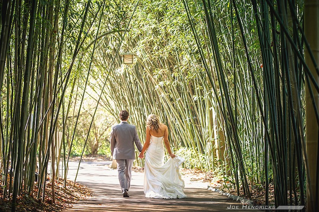 nashville zoo, after wedding photos, joe hendricks photography