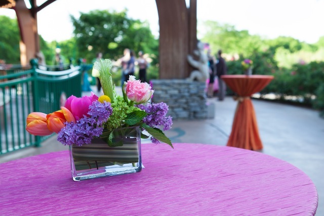 unique nashville wedding venue, nashville zoo wedding, outdoor nashville wedding, rehearsal dinner nashville, bridal shower nashville