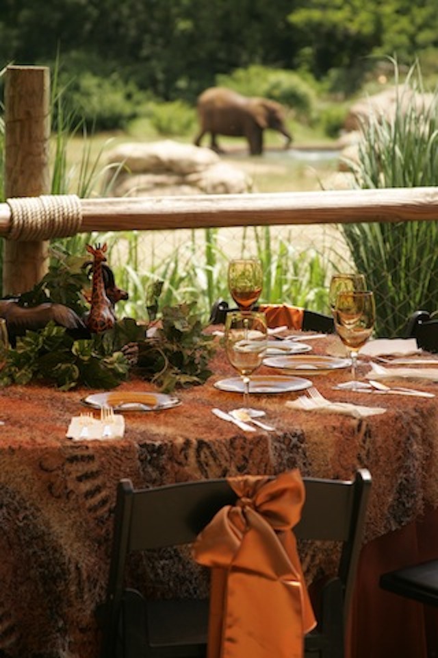 unique nashville wedding venue, nashville zoo wedding, outdoor nashville wedding, rehearsal dinner nashville, bridal shower nashville