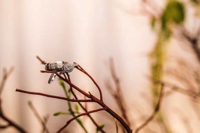 earthy, classic, nashville wedding, nashville city club, african american bride, classic, organic