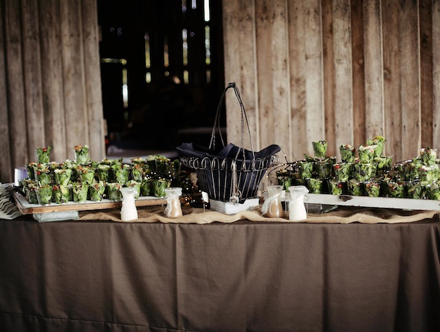 messick farm wedding, tennessee outdoor farm wedding