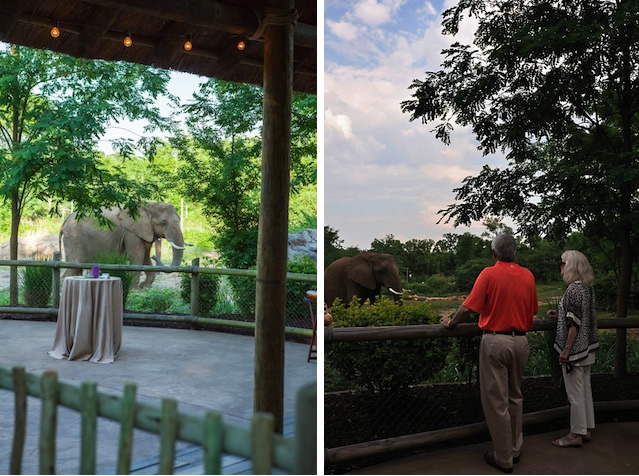 unique nashville wedding venue, nashville zoo wedding, outdoor nashville wedding, rehearsal dinner nashville, bridal shower nashville