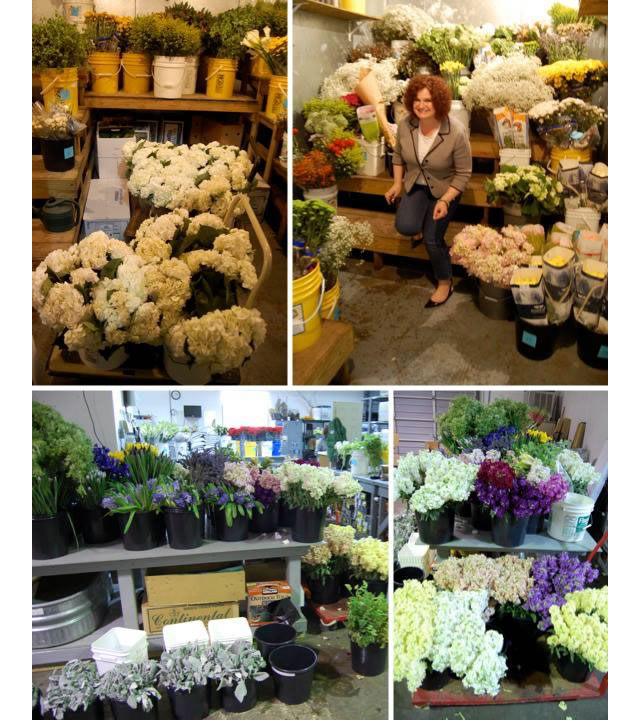 DIY wedding flowers nashville, genys flowers, import flowers lou, 