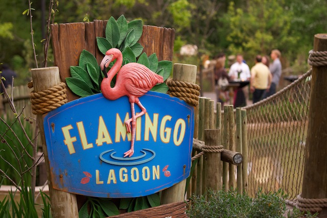 unique nashville wedding venue, nashville zoo wedding, outdoor nashville wedding, rehearsal dinner nashville, bridal shower nashville