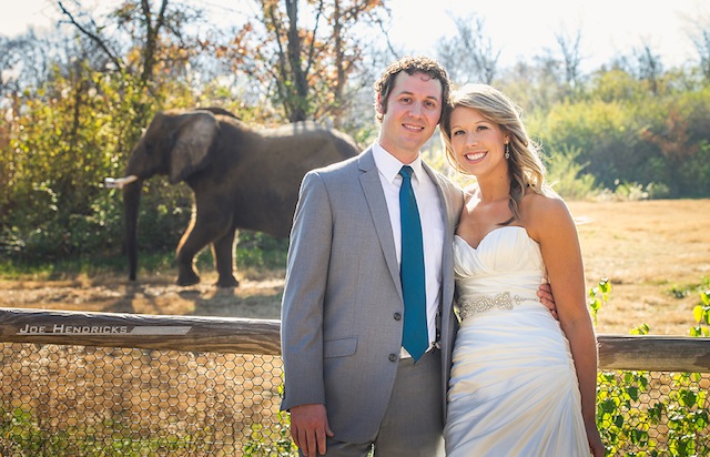 nashville zoo, after wedding photos, joe hendricks photography