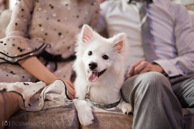 nashville engagement photography