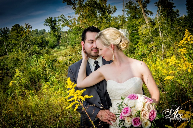 southern food country nashville tennessee buffet front porch farms, ace photography