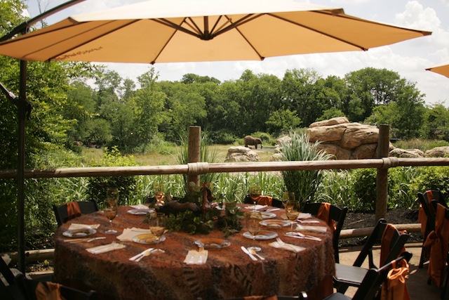 unique nashville wedding venue, nashville zoo wedding, outdoor nashville wedding, rehearsal dinner nashville, bridal shower nashville