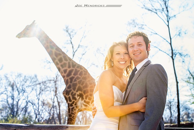 nashville zoo, after wedding photos, joe hendricks photography