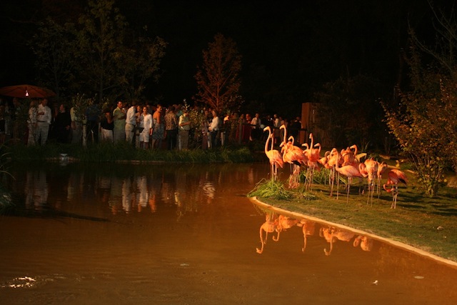 unique nashville wedding venue, nashville zoo wedding, outdoor nashville wedding, rehearsal dinner nashville, bridal shower nashville
