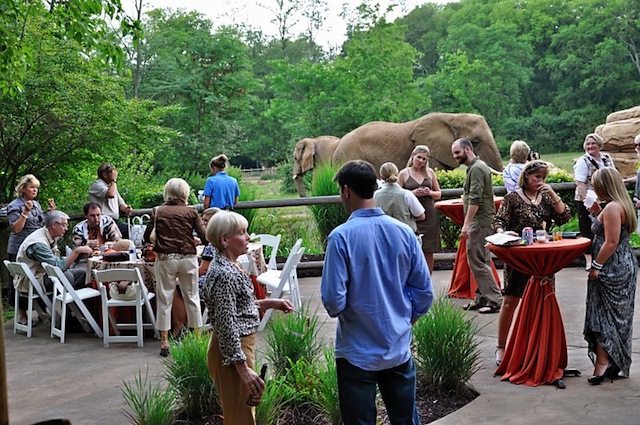 unique nashville wedding venue, nashville zoo wedding, outdoor nashville wedding, rehearsal dinner nashville, bridal shower nashville
