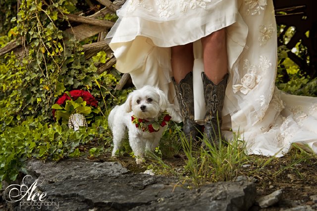 fall inspiration, nashville wedding, ace photography, legacy farms, red