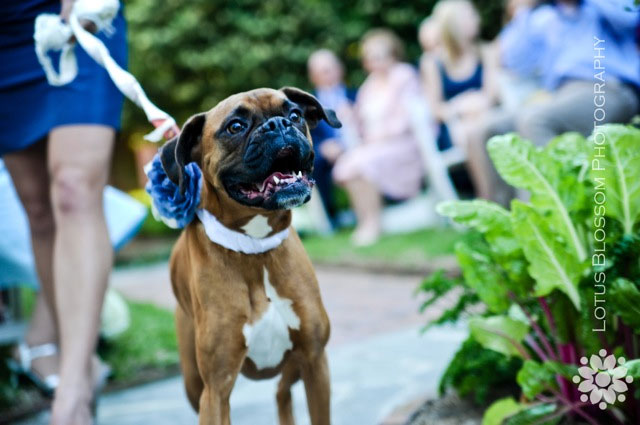 Nashville-destination-wedding-photographer