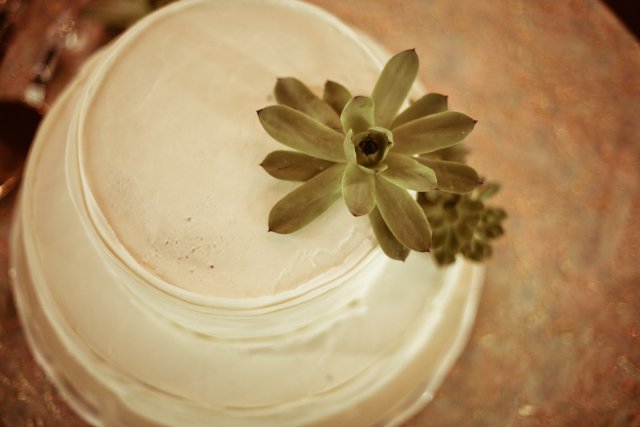 downtown-nashville-wedding-cake-succulent