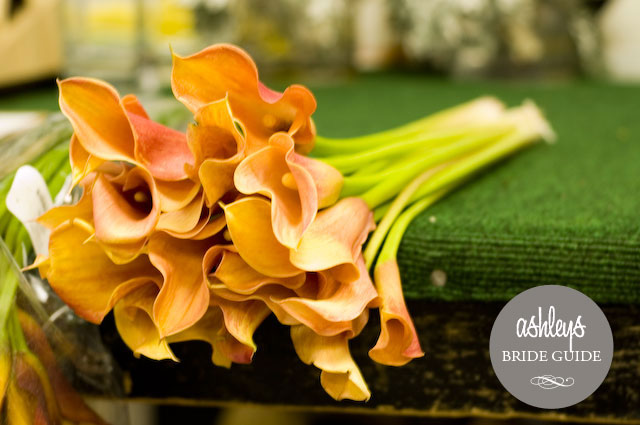 Import-Flowers-Nashville-Wholesale-Florist-wedding-floral-DIY