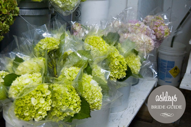 Import-Flowers-Nashville-Wholesale-Florist-wedding-floral-DIY