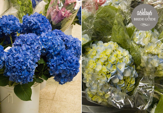 Import-Flowers-Nashville-Wholesale-Florist-wedding-floral-DIY