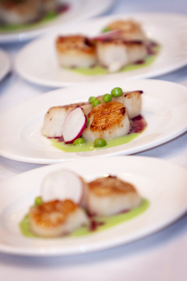 nashville city club, downtown nashville, wedding venue, great view, scallops