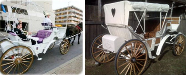 Nashville-wedding-carriage-rental-sugarcreek
