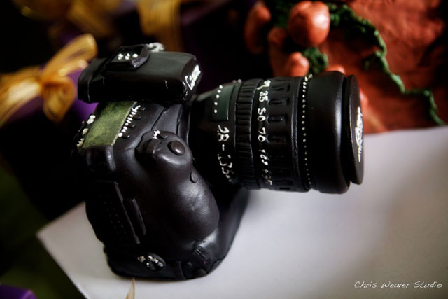 Nashville-grooms-wedding-cake-camera