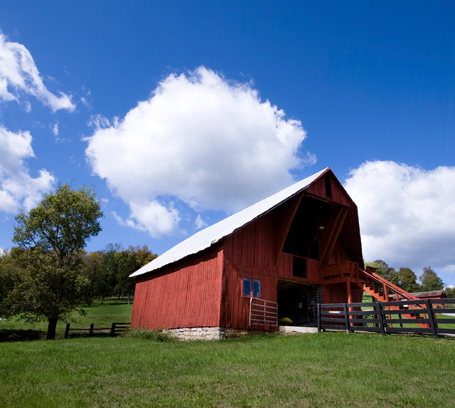 Southall-Eden-Franklin-Nashville-wedding-barn-farm-countryside-rustic-outdoor-venue