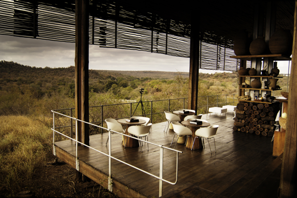 south african wedding nashville couple