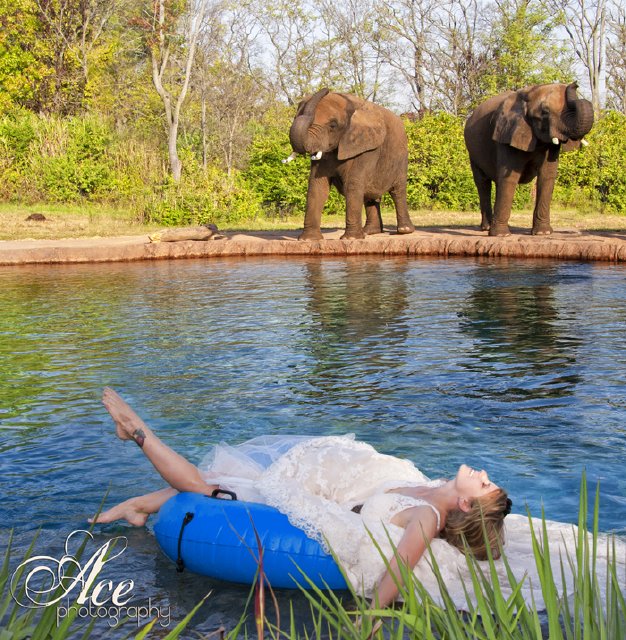 ace photography, nashville zoo, trash the dress, downtown, water float
