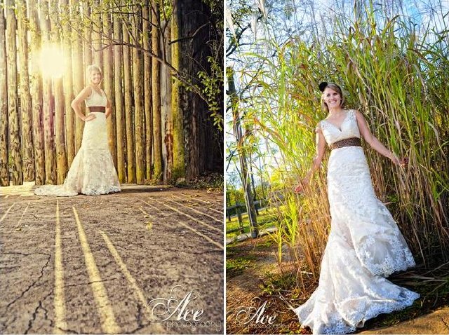 ace photography, nashville zoo, trash the dress, downtown, bamboo