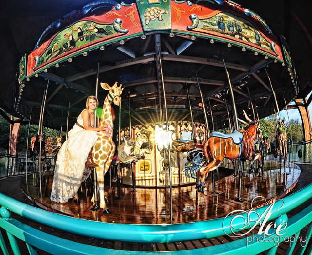 ace photography, nashville zoo, trash the dress, downtown, carasouel