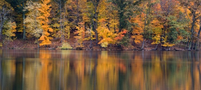 bridal shower ideas nashville outdoor radnor lake