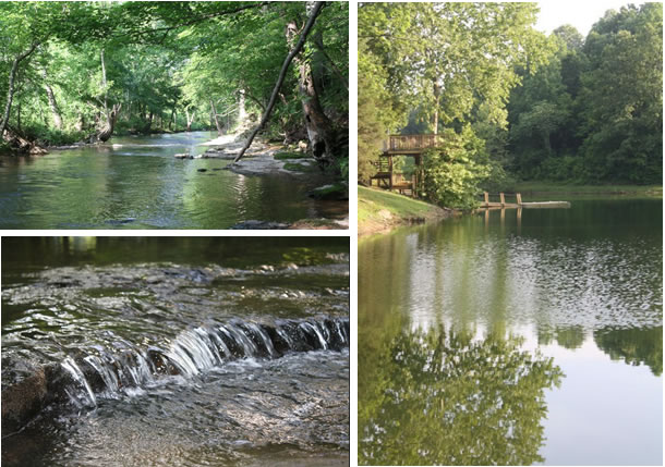 cajun lake lodge creek