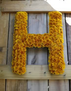 Design & Floral Decor