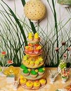 Weddings - Summer & Spring 