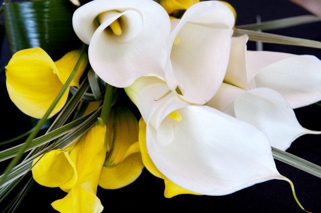enchanted florist, yellow, white, nashville wedding, union station